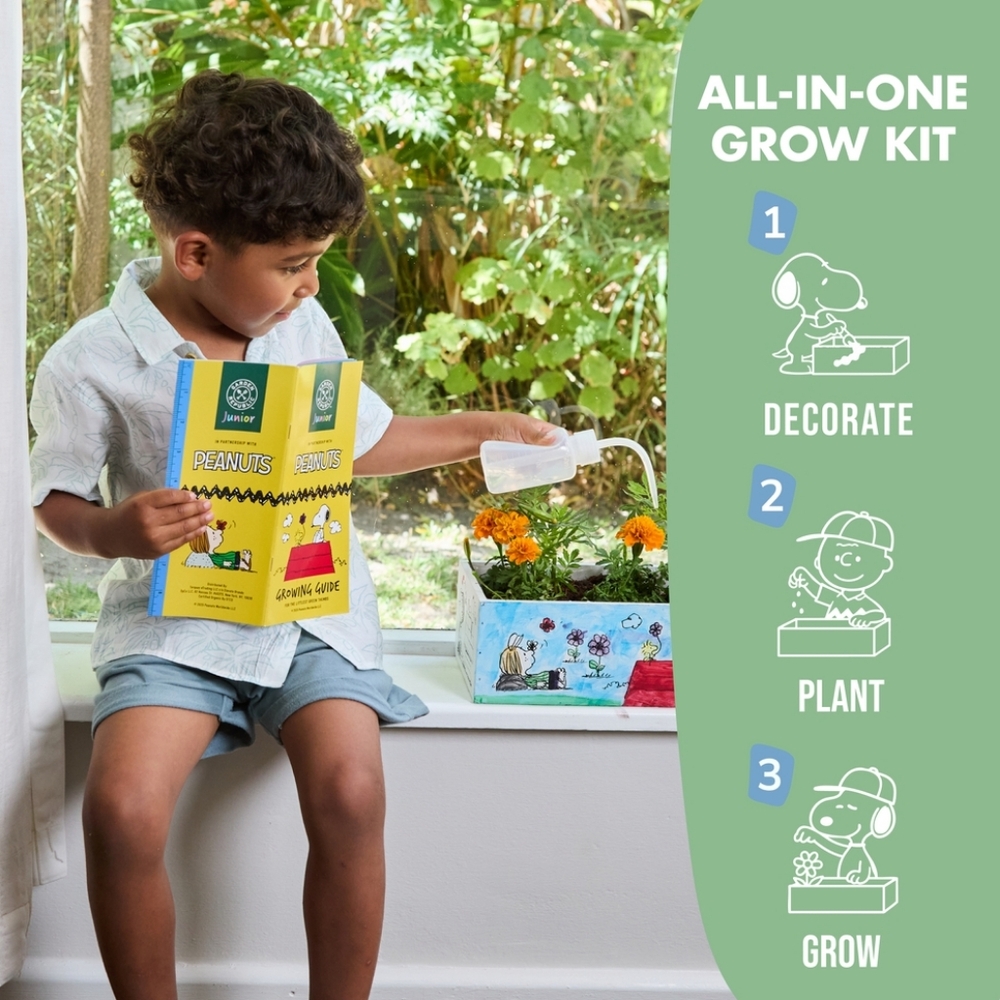 Garden Republic Peanuts Paint and Plant Starter Kit, Marigolds - Picture 4 of 5
